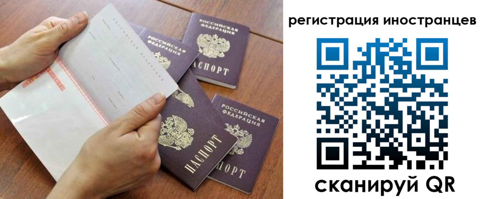 прописка поиск в Ряжске